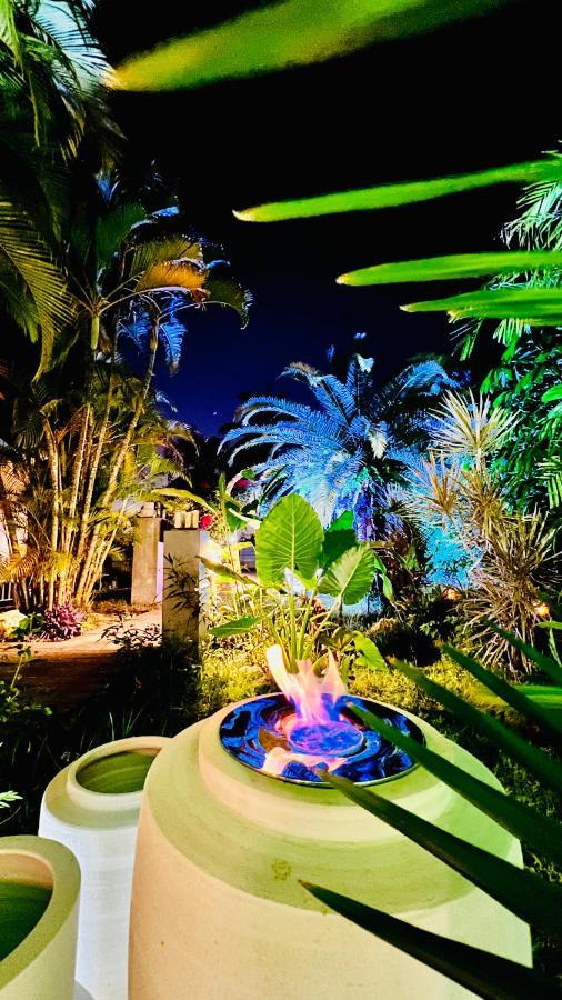 Ile Tropical Lodges Sainte-Anne  Exterior foto